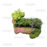 鳥瞰樹木  Bird-eye_53-庭木-GardenTree