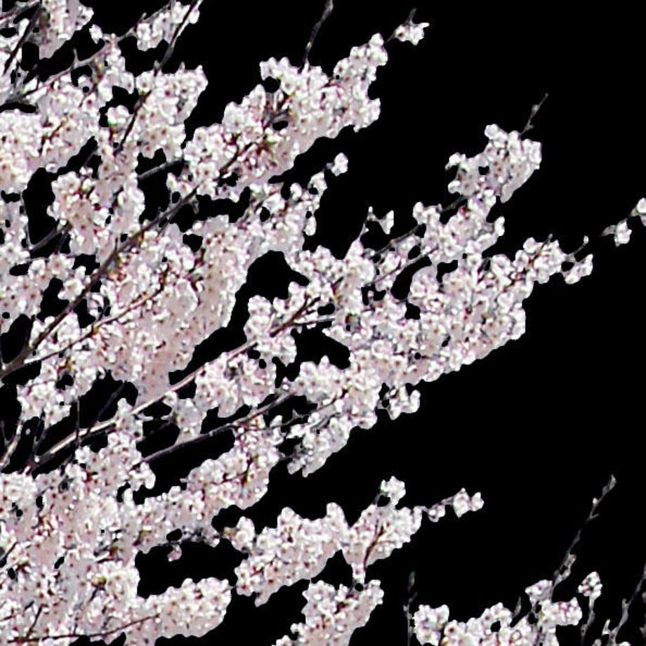5b704c325496ff055f00511c