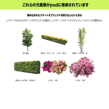 ガーデン植栽パースセット  GP003_03