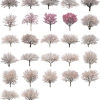 桜　27個セット  - Cherry Blossoms  sa_set01