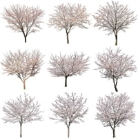桜　切り抜き素材セット  - Cherry Blossoms   sa_010