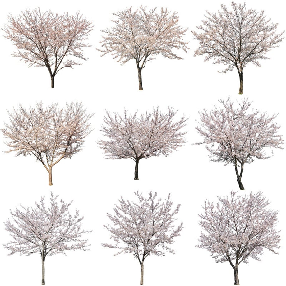 5b704c325496ff055f00511c