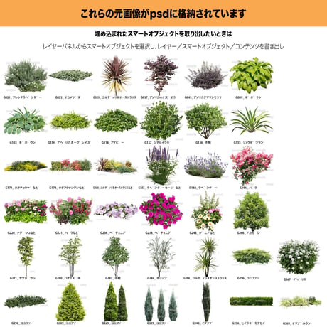 ガーデン植栽パース　 6組 セット　 GP004_all