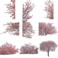 桜　切り抜き素材セット  - Cherry Blossoms   sa_018