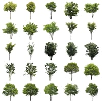 無料樹木素材セット　50個　free_trees_50p_007