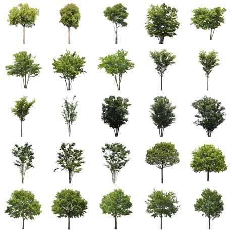無料樹木素材セット　50個　free_trees_50p_007