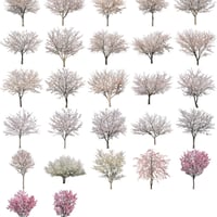 桜　27個セット  - Cherry Blossoms  sa_set02