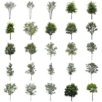 無料樹木素材セット　50個　free_trees_50p_004