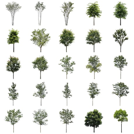 無料樹木素材セット　50個　free_trees_50p_004