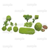 鳥瞰樹木  Bird-eye_57-低木ツツジなど-Shrub