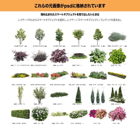 ガーデン植栽パース　 5組 セット　 GP003_h1