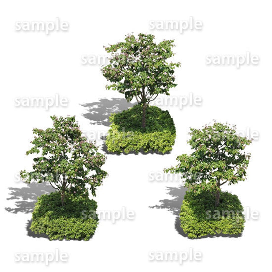5baa208f5f786605ce000ad6