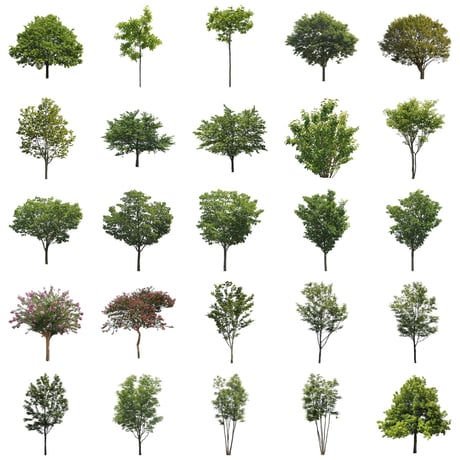 無料樹木素材セット　50個　free_trees_50p_007
