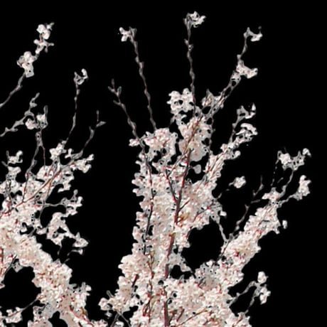 桜　切り抜き素材セット  - Cherry Blossoms   sa_009