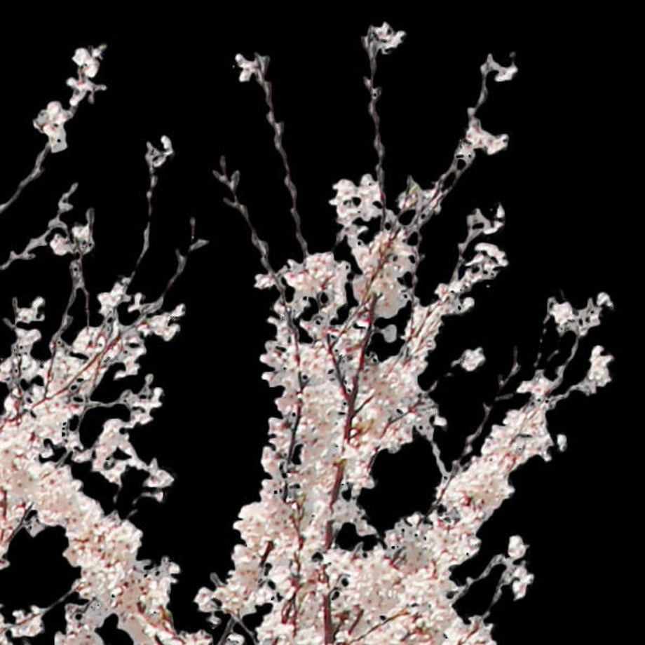 5b704bdc5496ff74b00041f7