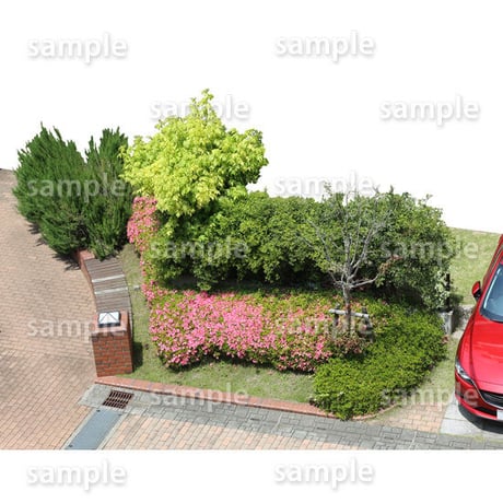 鳥瞰樹木  Bird-eye_53-庭木-GardenTree