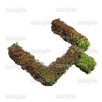 鳥瞰樹木  Bird-eye_59-低木レッドロビンなど-Shrub