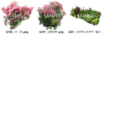 ガーデン庭木素材　寄せ植え  35個セット  G30_09