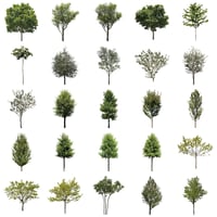 無料樹木素材セット　50個　free_trees_50p_006