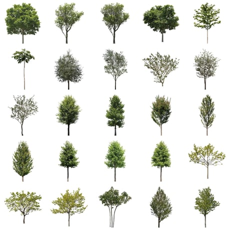 無料樹木素材セット　50個　free_trees_50p_006