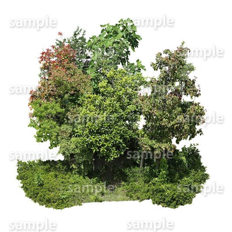 鳥瞰樹木   Bird-eye_52-庭木-GardenTree