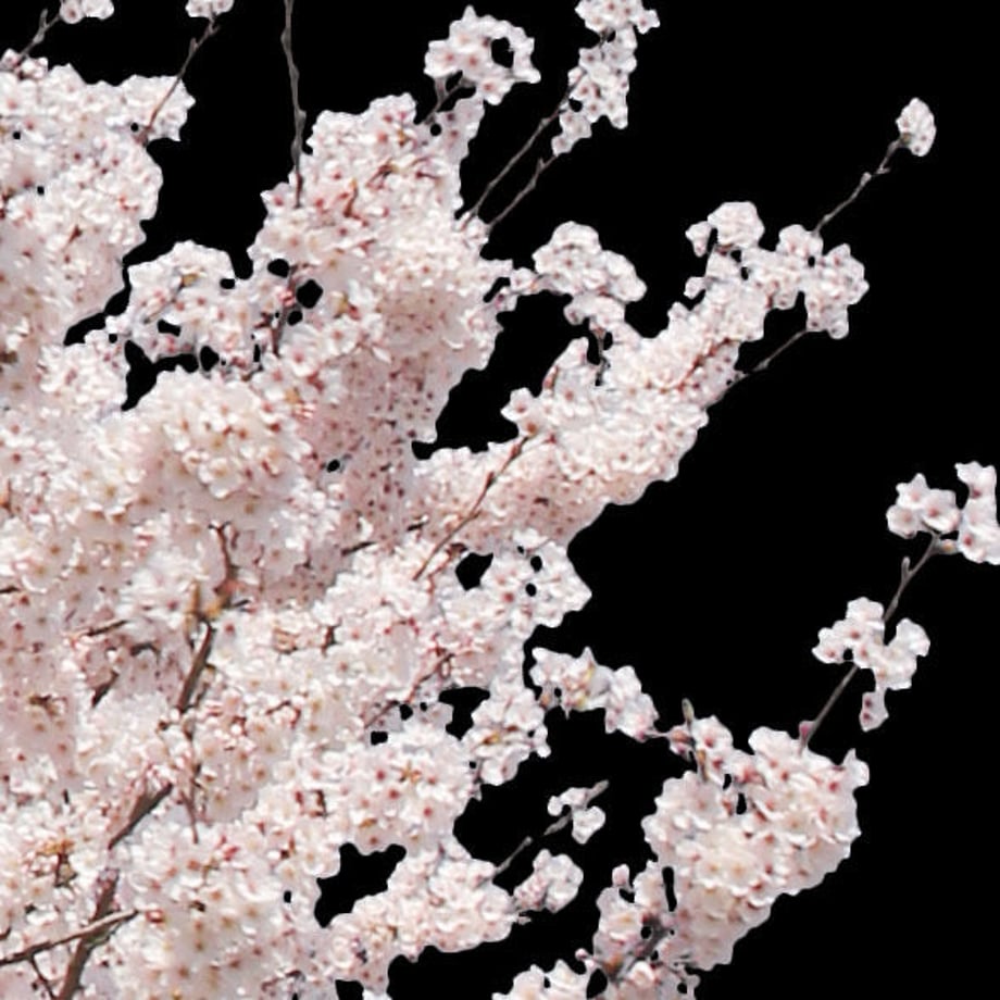 5b7050375496ff74b00043f2