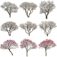 梅　切り抜きセット素材  - Plum trees  2u_06