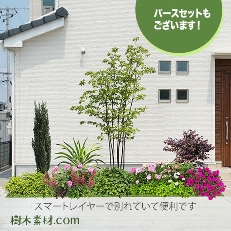 天然素材こもの　追加写真 木漏れ日が差す森の風景の無料のAI画像素材 - ID.82749｜フリー