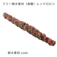 フリー素材！レッドロビン鳥瞰樹木素材 Birds-eye-free06