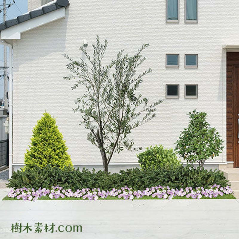 ガーデン庭木素材 庭樹木 34個セット G30_11 | 樹木素材.com