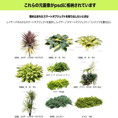 ガーデン植栽パースセット  GP003_07