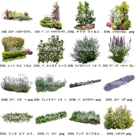 ガーデン庭木素材　寄せ植え  35個セット  G30_09