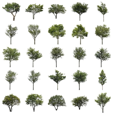 無料樹木素材セット　50個　free_trees_50p_005