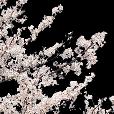 桜　切り抜き素材セット  - Cherry Blossoms   sa_010