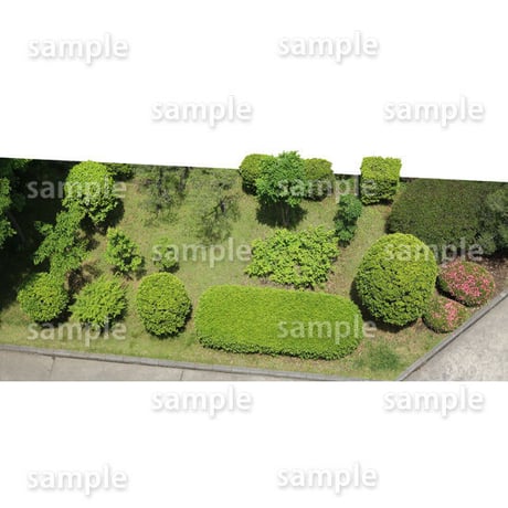鳥瞰樹木  Bird-eye_57-低木ツツジなど-Shrub