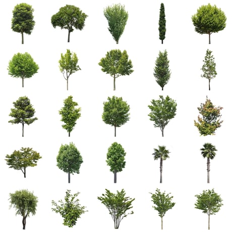 無料樹木素材セット　50個　free_trees_50p_009