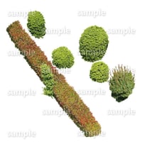 鳥瞰樹木  Bird-eye_58-低木ツツジなど-Shrub