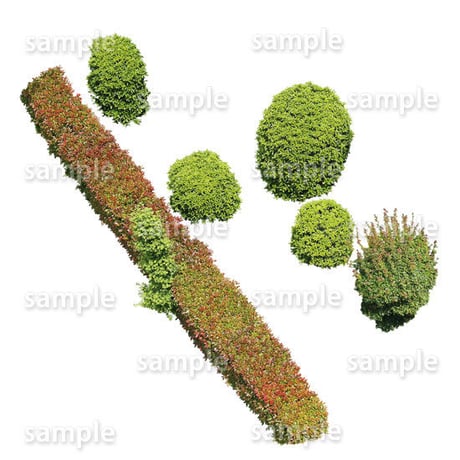鳥瞰樹木  Bird-eye_58-低木ツツジなど-Shrub