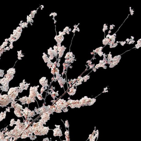 桜　切り抜き素材セット  - Cherry Blossoms   sa_007