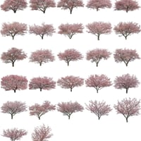 桜　27個セット  - Cherry Blossoms  sa_set03