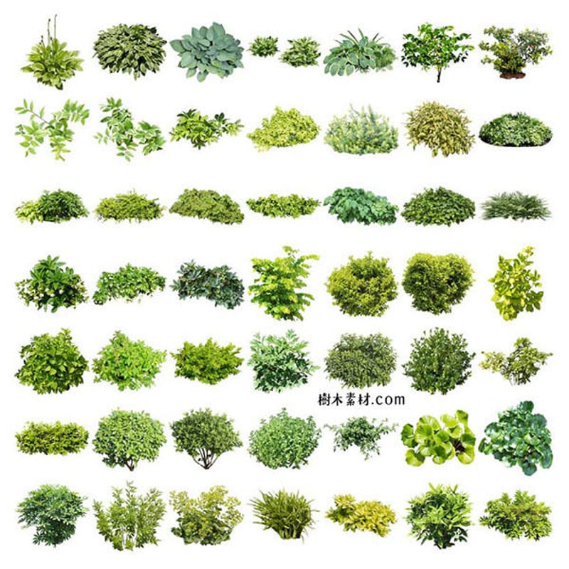 ガーデン植栽切り抜きセット369個 - リサイズ版 | 樹木素材.com
