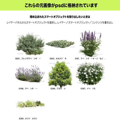 ガーデン植栽パースセット  GP004_06