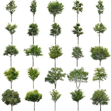 無料樹木素材セット　89個　free_trees_set03