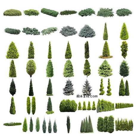 ガーデン植栽切り抜きセット369個 - リサイズ版