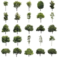 無料樹木素材セット　50個　free_trees_50p_008