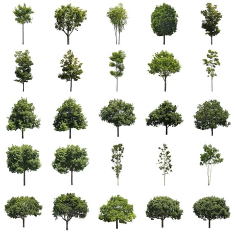 無料樹木素材セット　50個　free_trees_50p_008