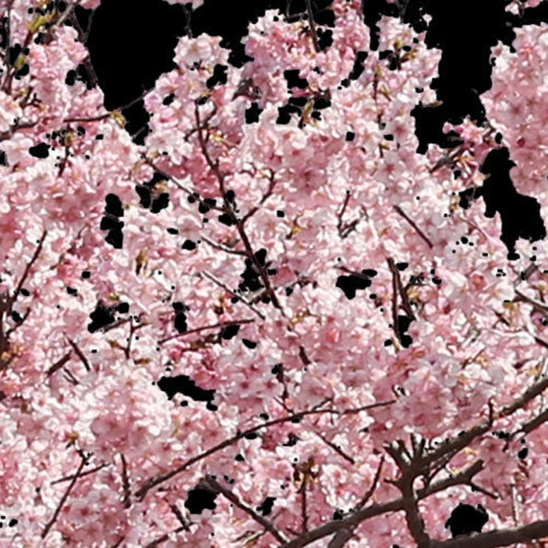 ⭐️All Cherry Blossoms⭐️新品5枚set⭐️婦人画報別注桜 Cherry Blossoms 40725 | Other | Buy online at the Official