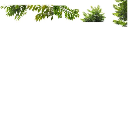無料-前景樹木素材セット　80個　free_zenkei_set02