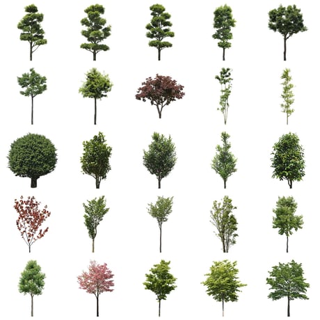 無料樹木素材セット　50個　free_trees_50p_008