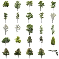 無料樹木素材セット　50個　free_trees_50p_009
